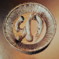 From Forest Floor To Inner Peace: Exploring Magic Mushrooms For Stress Relief