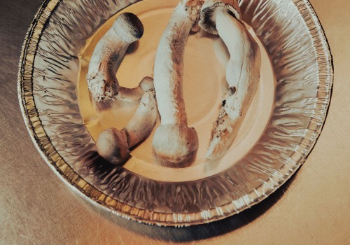 From Forest Floor To Inner Peace: Exploring Magic Mushrooms For Stress Relief